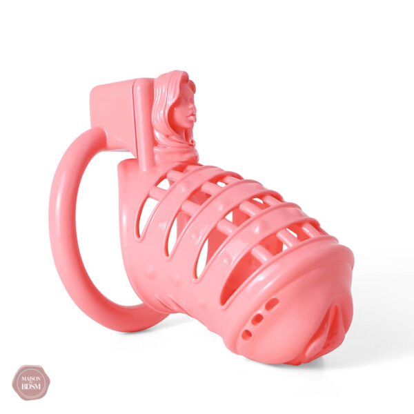 Cage 3D print avec clous décoratifs