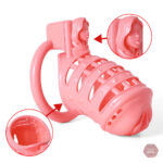 Modèle Sissy Rose en impression 3D