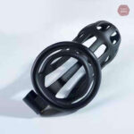Accessoire BDSM : Cage de chasteté Stripe