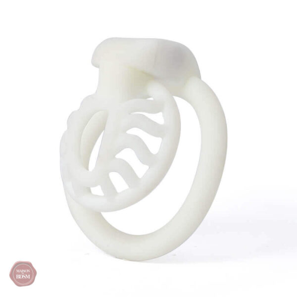 Cage de chasteté Sun Spider, fusion d'art et de fonctionnalité