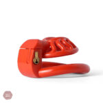 Cage de chasteté moderne Sun Spider en matériau 3D