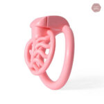 Impression 3D Sun Spider pour une cage de chasteté innovante