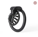 Cage de chasteté esthétique Sun Spider pour les amateurs de BDSM