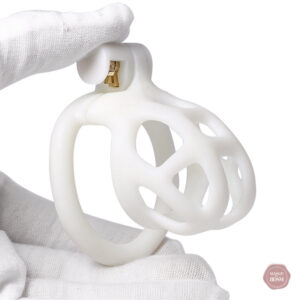 Cage de chasteté ajustable pour une expérience unique