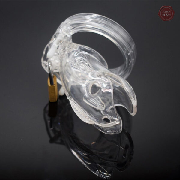 Cage de chasteté transparente, confort et discrétion