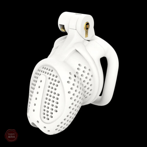 Cage de chasteté pour une expérience de contrôle intense