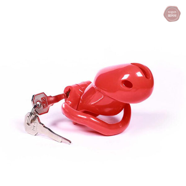 Cage de chasteté Pink Device, design en résine