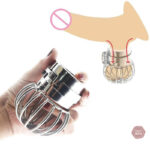 Cage de testicule verrouillable en acier inoxydable