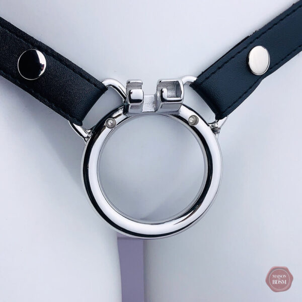 Cage de chasteté en cuir, styles variés disponibles
