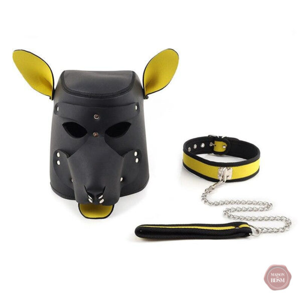 Cagoule BDSM pour chien, look audacieux