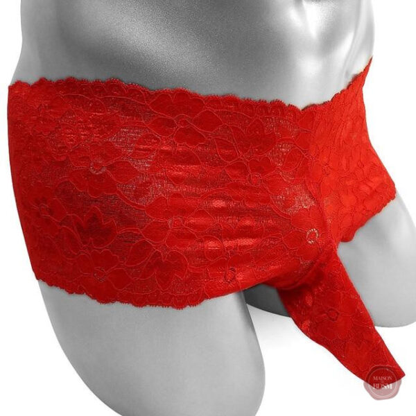 Vêtements travestis : caleçon gay chic et stylé