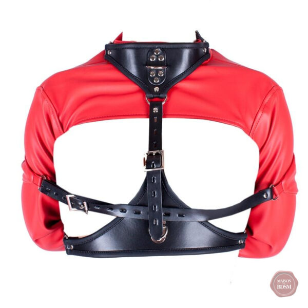camisole-bondage-1 Camisole bondage élégante pour une expérience de jeu érotique