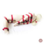 Accessoire BDSM essentiel pour aventures intimes