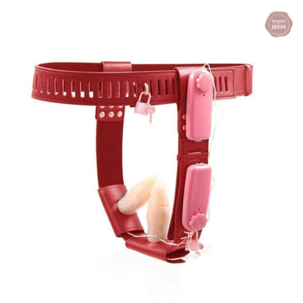 Accessoire de chasteté féminin avec fonction électrique