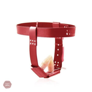 Ceinture de chasteté ajustable et sécurisée
