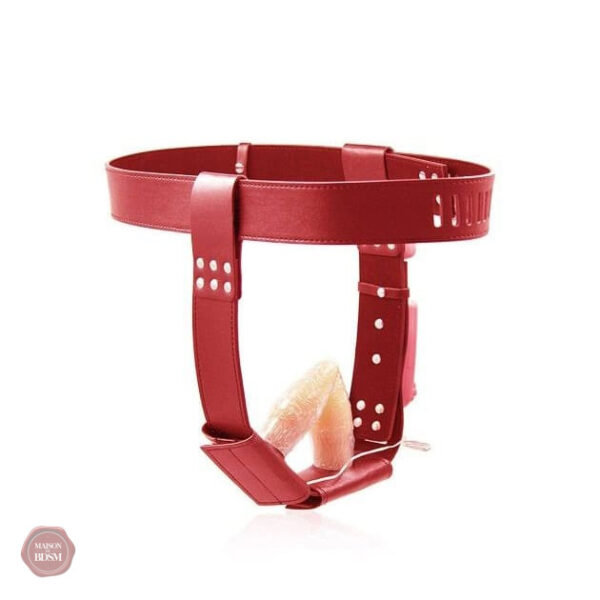 Ceinture de chasteté ajustable et sécurisée