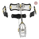 Cage à clip pour ceinture de chasteté en acier
