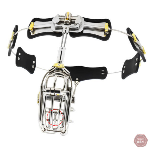 Accessoire de chasteté en acier inoxydable