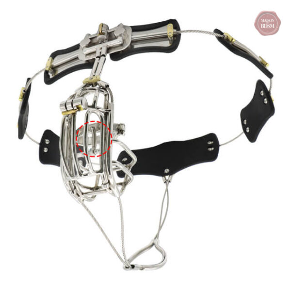 Cage de chasteté sécurisée en acier inoxydable