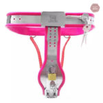 Ceinture de chasteté en acier inoxydable pour femmes
