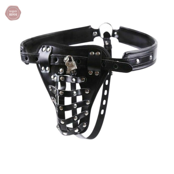 Dispositif de chasteté masculin ajustable