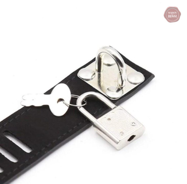 Accessoire de chasteté masculin, modèle Black Hole