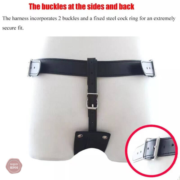 Équipement BDSM, ceinture de chasteté homme