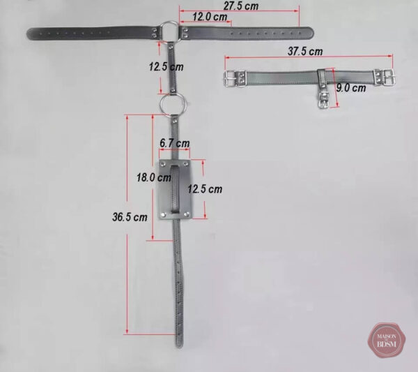 Ceinture de chasteté réglable pour plaisir BDSM