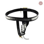 Dispositif de chasteté masculin, ceinture sécurisée