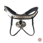Accessoire de contrôle pour adultes, ceinture de chasteté