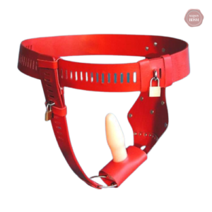 Accessoire de chasteté pratique pour le plaisir féminin