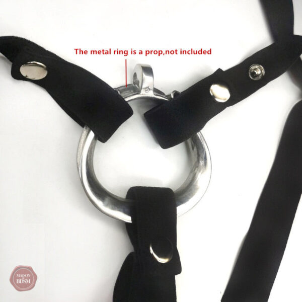 Cage de chasteté avec support élastique