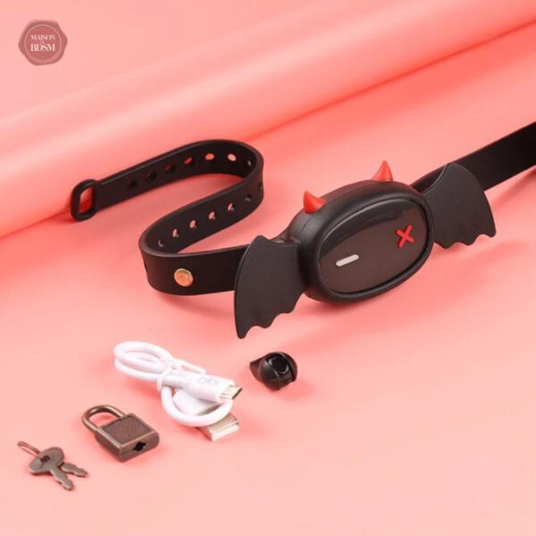 Collier et plug anal pour un ensemble de jeux érotiques