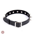Accessoire de mode BDSM élégant