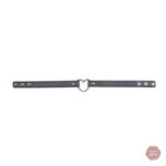 Collier d'appartenance élégant et suggestif