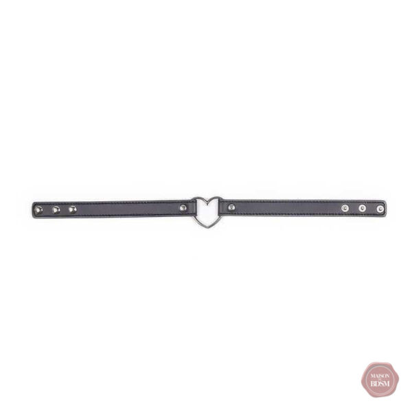 Collier d'appartenance élégant et suggestif