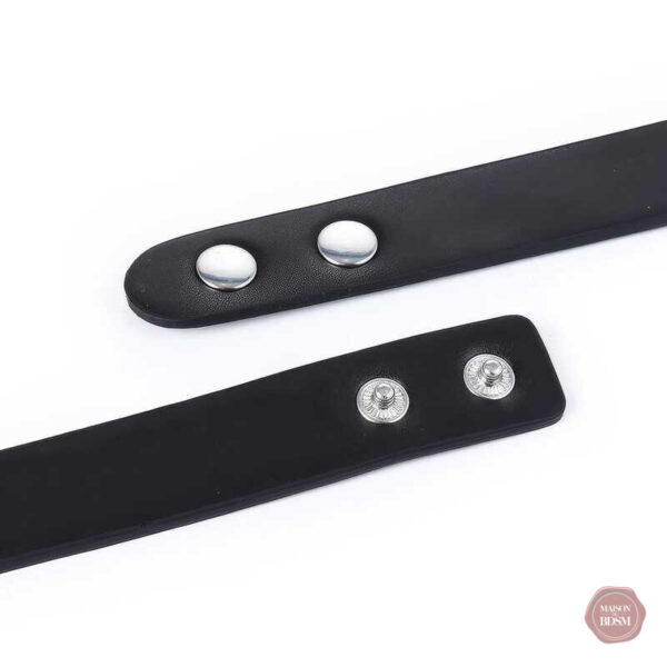 Collier de soumission, pièce maîtresse pour les amateurs de BDSM