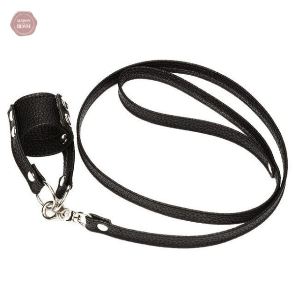 Accessoire érotique en cuir pour jeux de domination