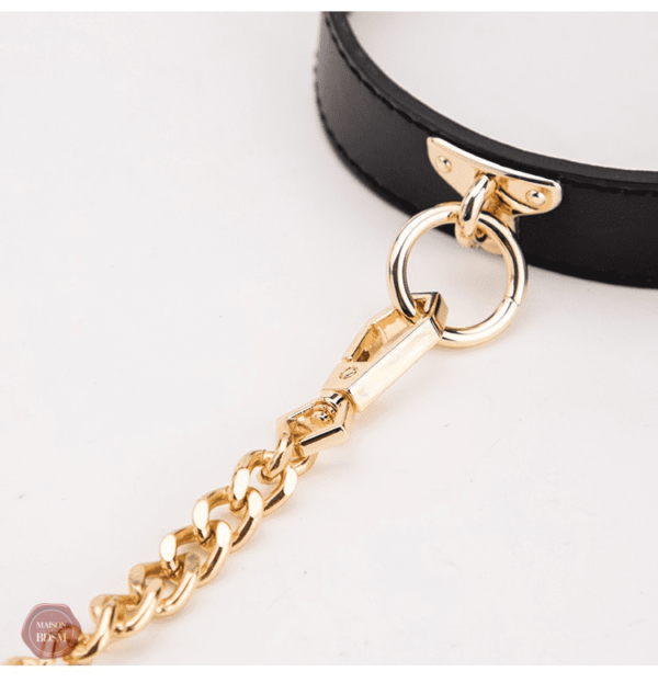 collier-bdsm-luxe-1 Collier BDSM Luxe en cuir et métal élégant