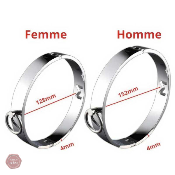 Laisse attachée au collier, parfaite pour le contrôle