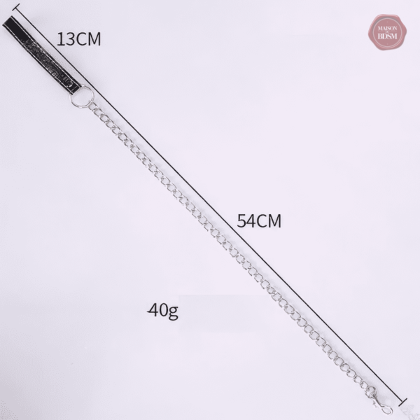 Accessoire de jeu BDSM : collier et laisse en métal
