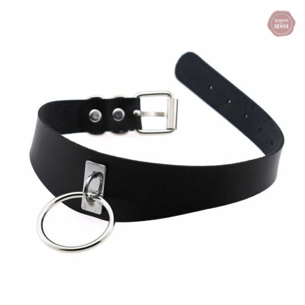 Collier ajustable pour expériences intenses