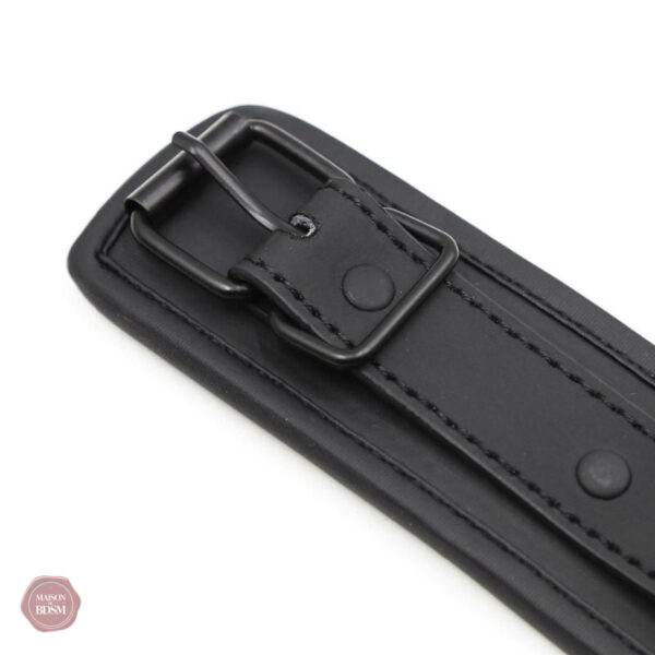Laisse de collier pour exploration des limites