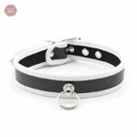 Collier BDSM D'appartenance 20, style et confort réunis