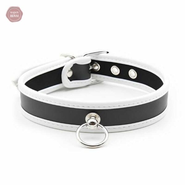 Collier BDSM D'appartenance 20, style et confort réunis