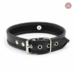 Collier BDSM D'appartenance 20 avec design élégant