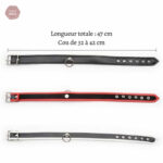 Accessoire BDSM : collier D'appartenance 20 en matériau durable