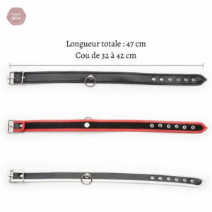 Accessoire BDSM : collier D'appartenance 20 en matériau durable