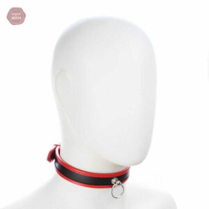 Collier D'appartenance 20, un symbole d'engagement BDSM