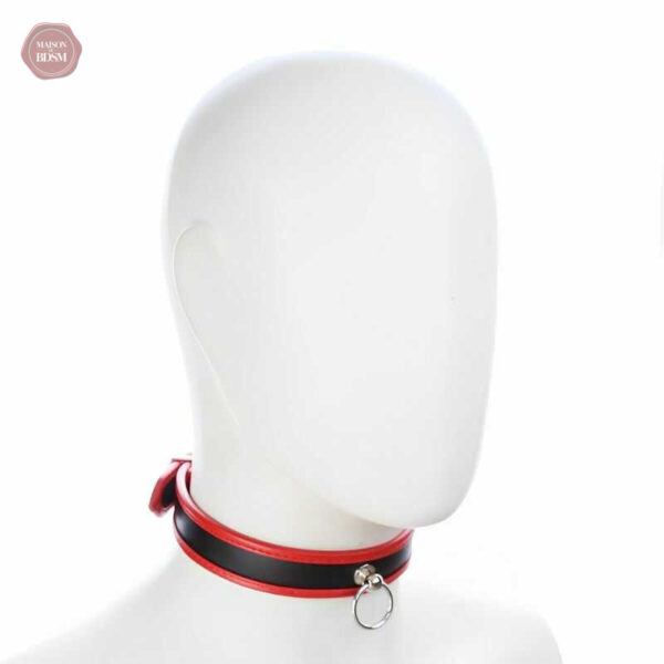Collier D'appartenance 20, un symbole d'engagement BDSM